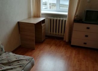 1-комнатная квартира в аренду, 30 м2, Екатеринбург, Таганская улица, 6А