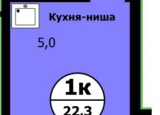 Продажа квартиры студии, 21.7 м2, Красноярский край, улица Лесников, 41Б