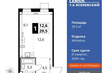 Продам квартиру студию, 29.5 м2, деревня Румянцево, СНТ Гипрохим, 1Ас1