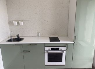 Сдам однокомнатную квартиру, 30 м2, поселок городского типа Стройкерамика, ЖК Детский Мир, улица Академика Дмитрия Козлова, 11