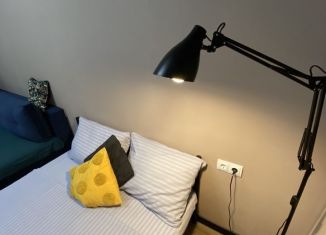 Сдается в аренду квартира студия, 33 м2, Удмуртия, Районная улица, 57к1с2