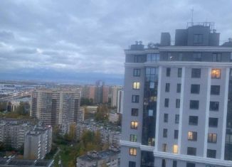 Сдам квартиру студию, 24 м2, посёлок Шушары, Новгородский проспект, 2к3