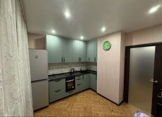 Сдается 2-ком. квартира, 60 м2, Москва, улица Маршала Голованова, 1, район Марьино