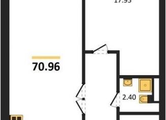 Продается однокомнатная квартира, 71 м2, Воронеж, Центральный район