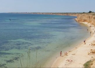 Сдаю в аренду дом, 45 м2, село Окунёвка, Набережная улица, 36