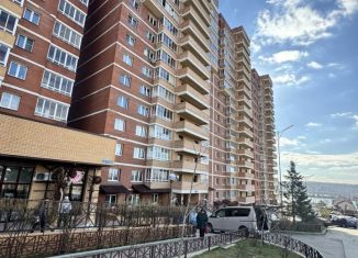 Сдам в аренду квартиру студию, 26 м2, Иркутск, Дальневосточная улица, 29/2, ЖК Родной Берег