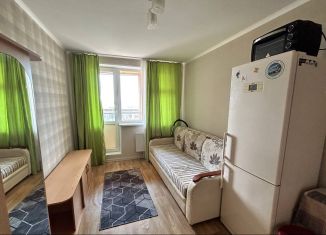 Продается квартира студия, 21.3 м2, Чебоксары, улица Петрова, 9к1