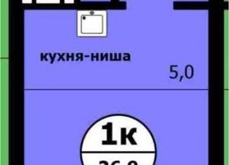 Квартира на продажу студия, 26.9 м2, Красноярский край, Вишнёвая улица