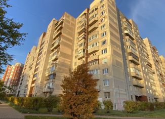 Однокомнатная квартира на продажу, 40 м2, Санкт-Петербург, Вербная улица, 20/2, метро Пионерская