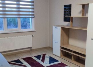 1-комнатная квартира в аренду, 40 м2, Воронеж, Московский проспект, 195, ЖК Грин Парк