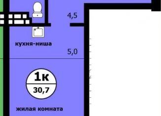 Продается квартира студия, 30.7 м2, Красноярский край, Вишнёвая улица