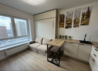 Сдается квартира студия, 20 м2, Москва, Амурская улица, район Гольяново