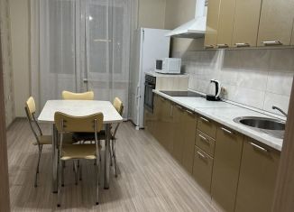 Аренда 1-ком. квартиры, 55 м2, Казань, Сибирский тракт, 13, Советский район