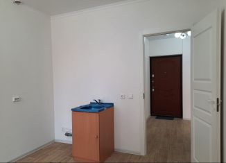 Продам квартиру студию, 31.2 м2, Санкт-Петербург, улица Кустодиева, 5к1, метро Проспект Просвещения