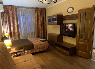 Сдам в аренду однокомнатную квартиру, 50 м2, Нижний Новгород, улица Белинского, 38, Нижегородский район