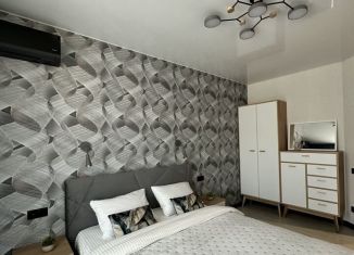 Сдается в аренду 1-комнатная квартира, 38 м2, Самара, 5-я просека, 133, ЖК Изумрудный