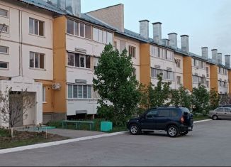 Сдается 1-ком. квартира, 37 м2, Димитровград, улица Чкалова, 56