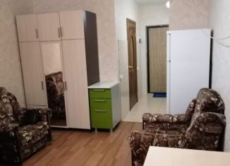 Квартира в аренду студия, 24 м2, Анапа, Владимирская улица, 154к1