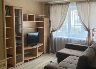 Сдам 1-ком. квартиру, 30 м2, Рязань, улица Есенина, 69, Театральный район