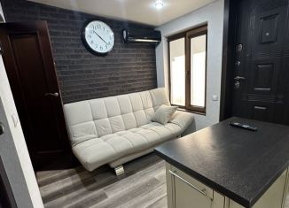 Сдается 2-ком. квартира, 28 м2, Краснодар, улица Фрунзе, 87