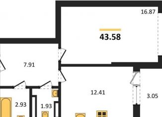 1-ком. квартира на продажу, 43.6 м2, Воронеж, Центральный район