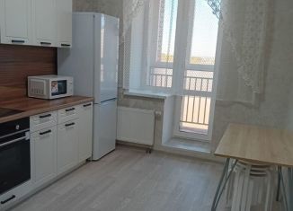 2-комнатная квартира в аренду, 51 м2, село Осиново, улица Марата Ахметшина, 4