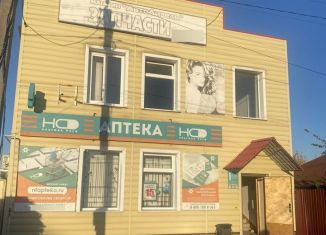 Торговая площадь на продажу, 197 м2, поселок городского типа Каменка, улица Ленина, 35