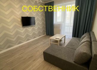 Сдается двухкомнатная квартира, 50 м2, Симферополь, Луговая улица