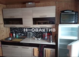 Продается дача, 32 м2, Новосибирск, Советский район, садовое товарищество Рассвет, 40