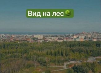 1-комнатная квартира на продажу, 45 м2, Дагестан, Благородная улица, 13