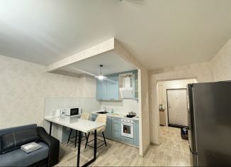 Аренда квартиры студии, 36 м2, Красноярский край, улица Спандаряна, 1Б