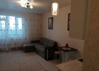 Сдается квартира студия, 28 м2, Старая Купавна, Октябрьская улица, 14А