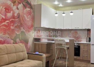 Квартира на продажу студия, 30.1 м2, Новосибирск, улица Сержанта Коротаева, 9/1, метро Студенческая