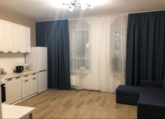 Квартира в аренду студия, 30 м2, Люберцы, улица Юности, 13к1