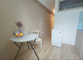 Продаю однокомнатную квартиру, 29.7 м2, Сочи, улица Мира, 18, микрорайон Центральный