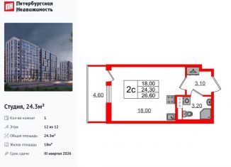 Продается квартира студия, 24.3 м2, Санкт-Петербург, метро Проспект Просвещения