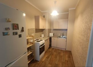 Аренда 1-ком. квартиры, 40 м2, посёлок Парголово, улица Шишкина, 303к1