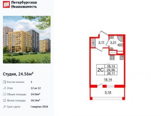 Продается квартира студия, 24.6 м2, Санкт-Петербург, муниципальный округ Коломяги