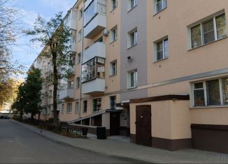 Продается 2-комнатная квартира, 44.9 м2, Воронежская область, улица Беляевой, 3