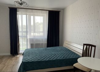 Сдается квартира студия, 30 м2, Пермь, Пермская улица, 2