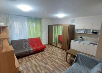 Квартира в аренду студия, 29 м2, Ярославль, улица Панина, 3к3, Дзержинский район