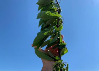 Продажа участка, 5.8 сот., село Портовое, Южная улица