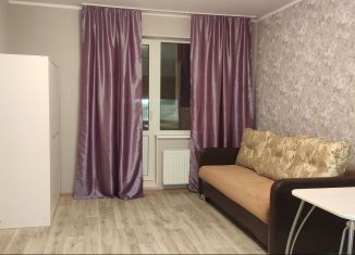 Сдается квартира студия, 24 м2, Санкт-Петербург, улица Бабушкина, 84к2