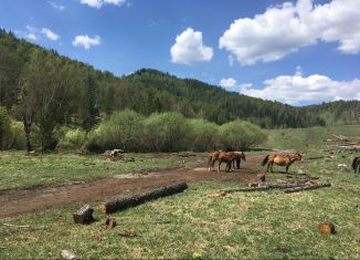 Участок на продажу, 1298 сот., село Ороктой, Центральная улица