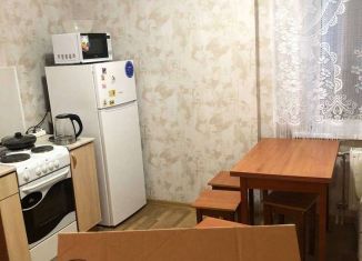 1-комнатная квартира в аренду, 45 м2, Нижний Новгород, Мещерский бульвар, 5, 2-й микрорайон