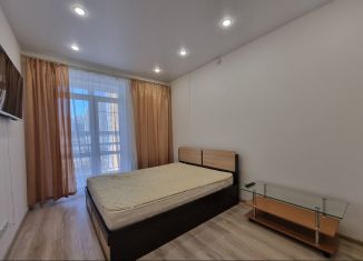 Сдается 1-ком. квартира, 40 м2, деревня Анкудиновка, Русская улица, 16