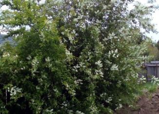 Продаю дом, 56 м2, поселок городского типа Курорт-Дарасун, Дорожная улица, 19