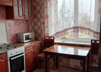 Продам двухкомнатную квартиру, 51 м2, Нижний Новгород, улица Героя Советского Союза Бахтина, 9, метро Парк Культуры