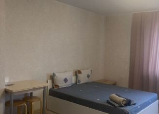 Сдаю в аренду квартиру студию, 30 м2, Новосибирск, Железнодорожная улица, 15