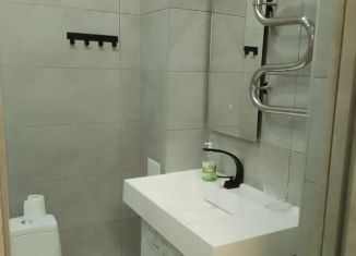 Сдам квартиру студию, 22 м2, Мурино, Воронцовский бульвар, 21к3